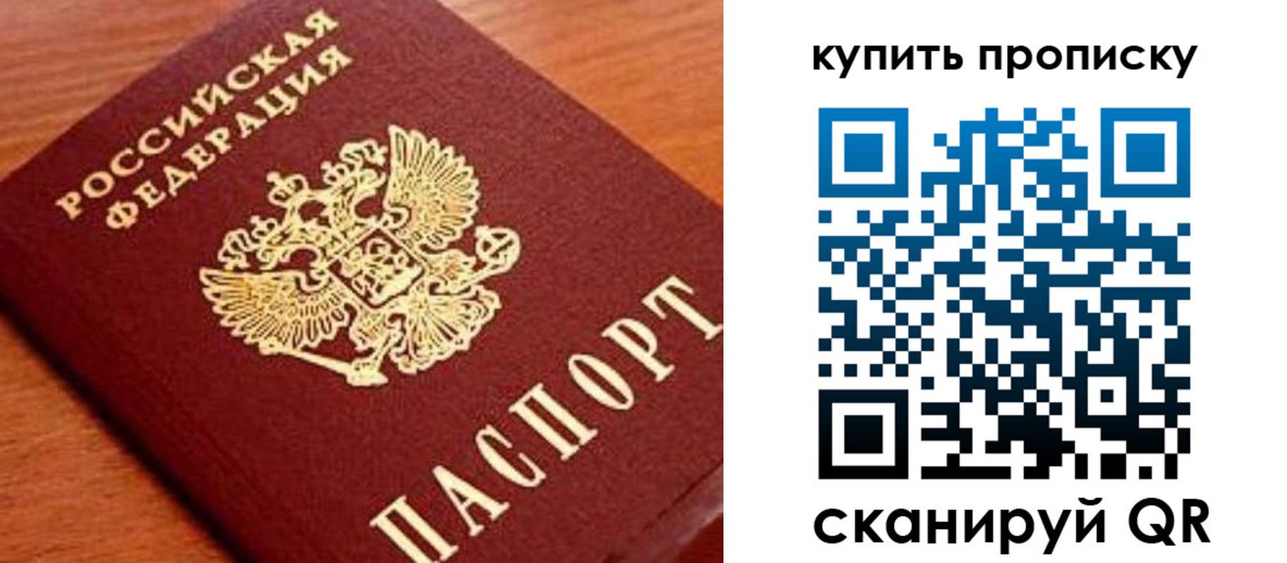 прописка поиск в Красногорске